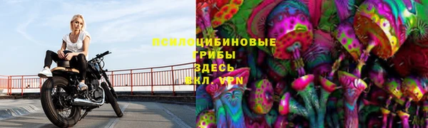 молекула духа Карталы