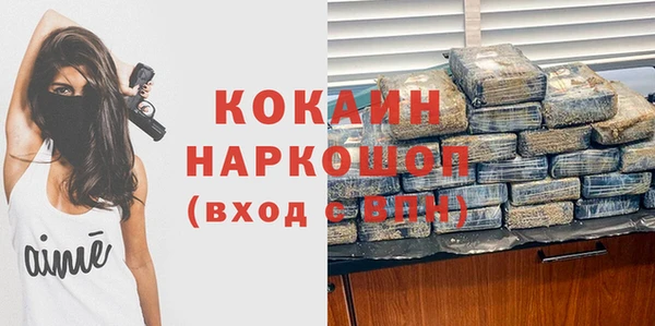 гидра Кинешма
