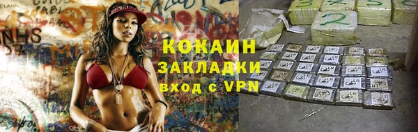 гашик Касимов
