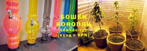 бошки Карпинск
