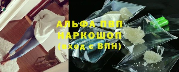 гашик Касимов