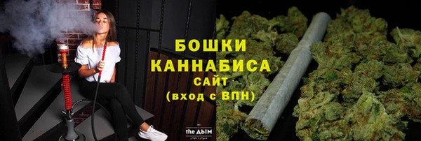 гашик Касимов