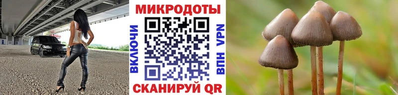 Галлюциногенные грибы Cubensis  Купить где  Железноводск 
